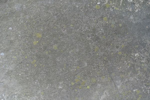 Cost of Slab Staining Service in North Augusta